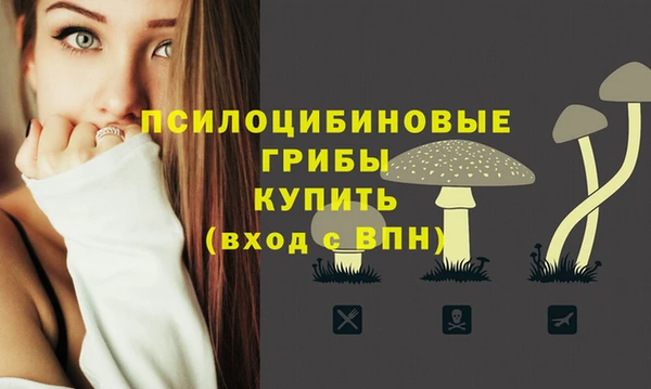 мдпв Пестово