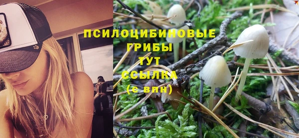 бошки Верхний Тагил