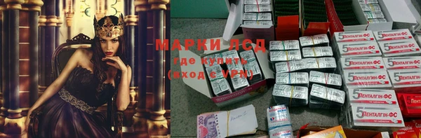спиды Верея